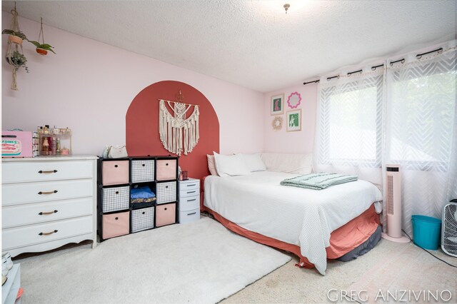 5906 Henry St, Norton Shores, MI 49441 - bedroom featuring carpet flooring and a textured ceiling
