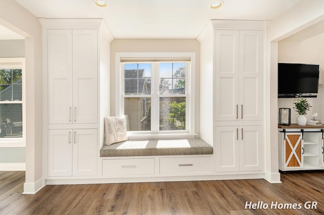 535 N Creek Ct NE, Rockford, MI 49341 - unfurnished room featuring healthy amount of natural light, wood finished floors, recessed lighting, and baseboards