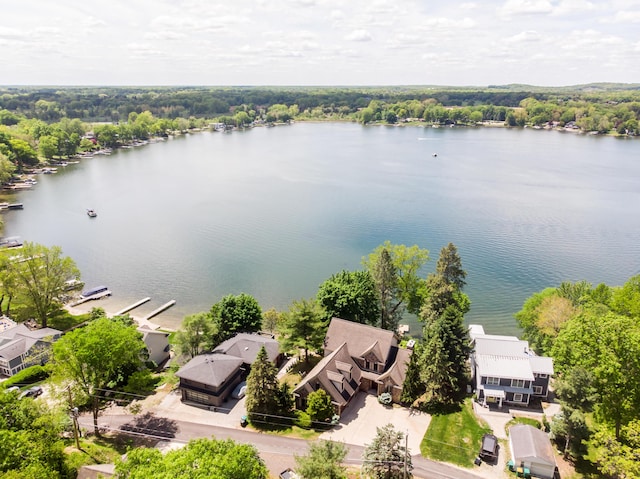 267 Glazier Rd, Chelsea, MI 48118 - photo 4