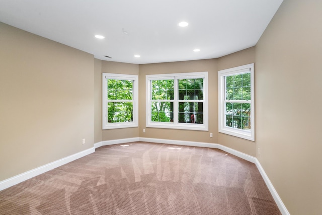267 Glazier Rd, Chelsea, MI 48118 - photo 62