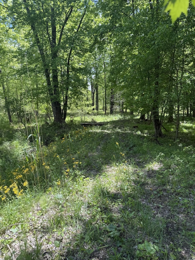 6095 E M 20, Hesperia, MI 49421