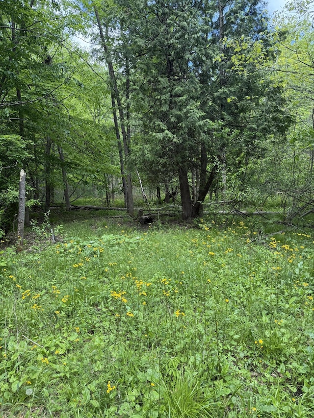 6095 E M 20, Hesperia, MI 49421