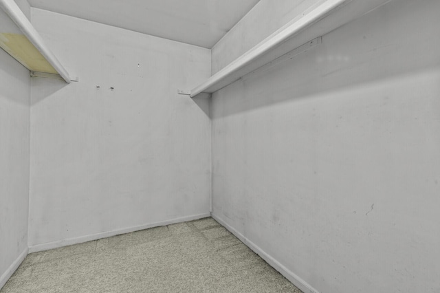 14436 Fairway St, Livonia, MI 48154 - walk in closet featuring carpet flooring