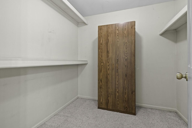 14436 Fairway St, Livonia, MI 48154 - walk in closet featuring carpet flooring