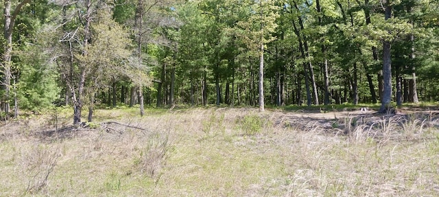 VL E Pine Ave, Twin Lake, MI 49457