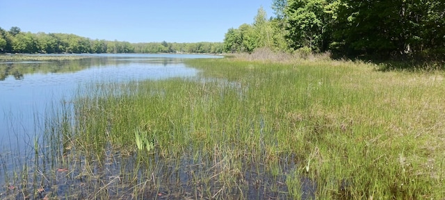 VL E Pine Ave, Twin Lake, MI 49457