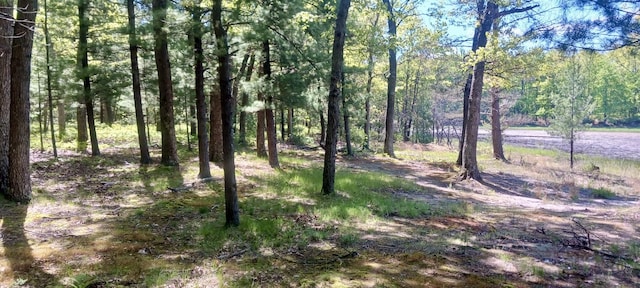 VL E Pine Ave, Twin Lake, MI 49457