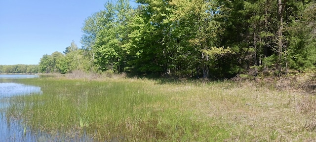 VL E Pine Ave, Twin Lake, MI 49457
