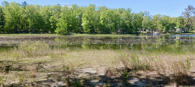 VL E Pine Ave, Twin Lake, MI 49457