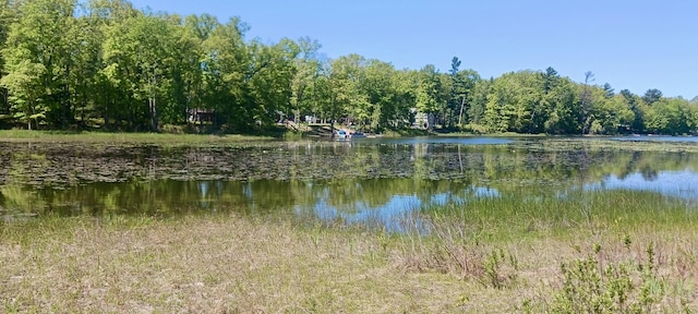 VL E Pine Ave, Twin Lake, MI 49457