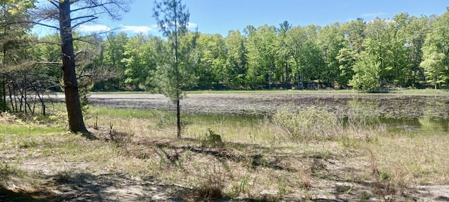 VL E Pine Ave, Twin Lake, MI 49457