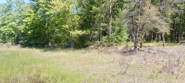 VL E Pine Ave, Twin Lake, MI 49457