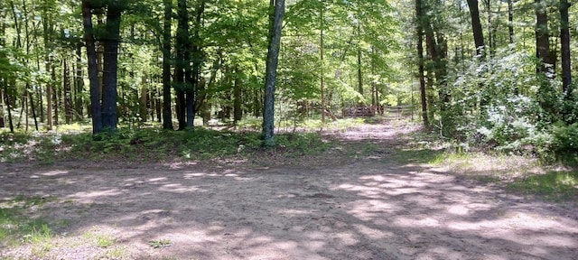 VL E Pine Ave, Twin Lake, MI 49457