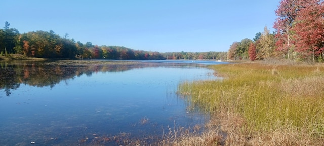 VL E Pine Ave, Twin Lake, MI 49457