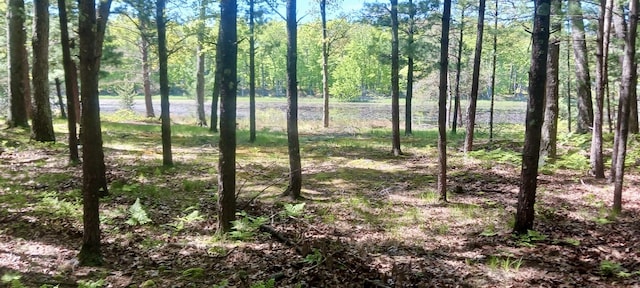 VL E Pine Ave, Twin Lake, MI 49457