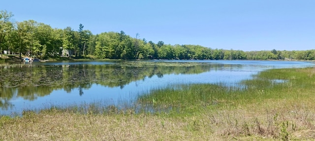VL E Pine Ave, Twin Lake, MI 49457