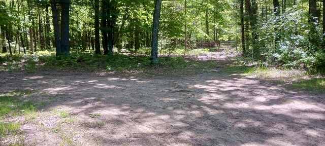 VL E Pine Ave, Twin Lake, MI 49457