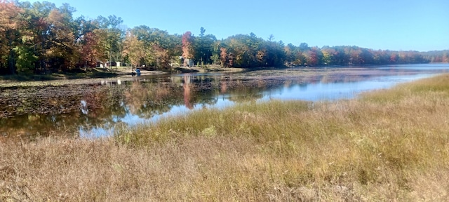 VL E Pine Ave, Twin Lake, MI 49457