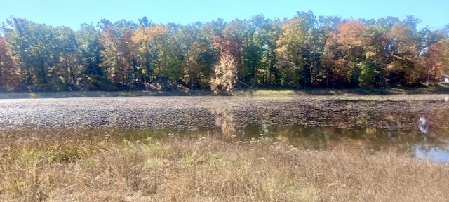 VL E Pine Ave, Twin Lake, MI 49457