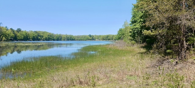 VL E Pine Ave, Twin Lake, MI 49457
