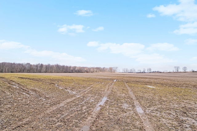 VL N Fiske Rd, Coldwater, MI 49036
