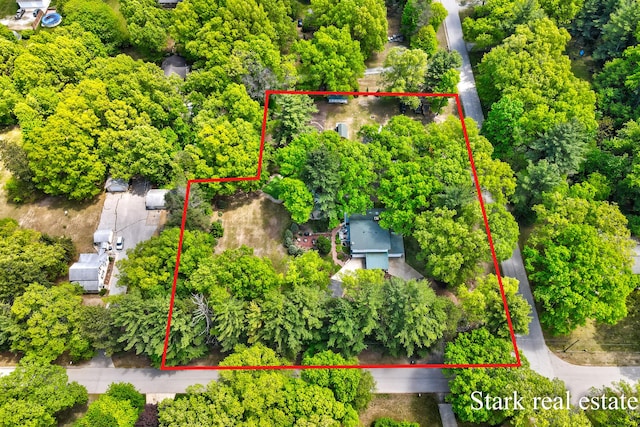 300 N 2nd Ave, Fruitport, MI 49415 - bird's eye view