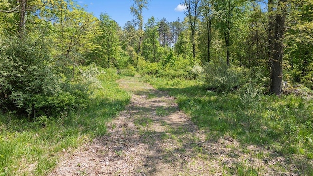0 37th St, Gobles, MI 49055
