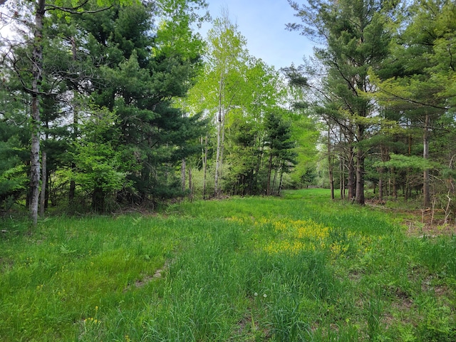 1052 E Clock Rd, Hart, MI 49420