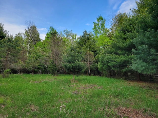 1052 E Clock Rd, Hart, MI 49420