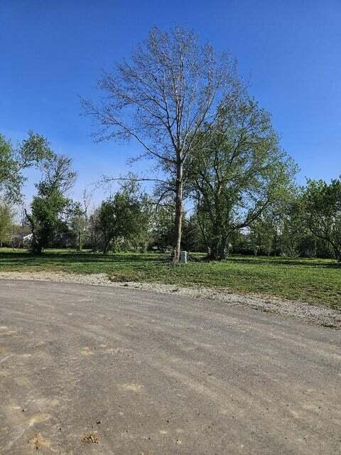 LOT2 Walsh Ct, Onsted, MI 49265 - photo 4