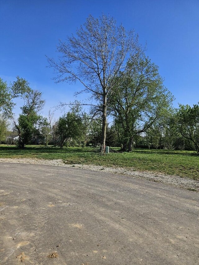 8812 Walsh Ct, Onsted, MI 49265 - view of yard