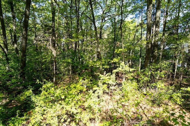 3126 Red Oak Dr Lot 7, Saugatuck, MI 49453