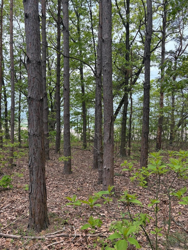 3126 Red Oak Dr Lot 7, Saugatuck, MI 49453