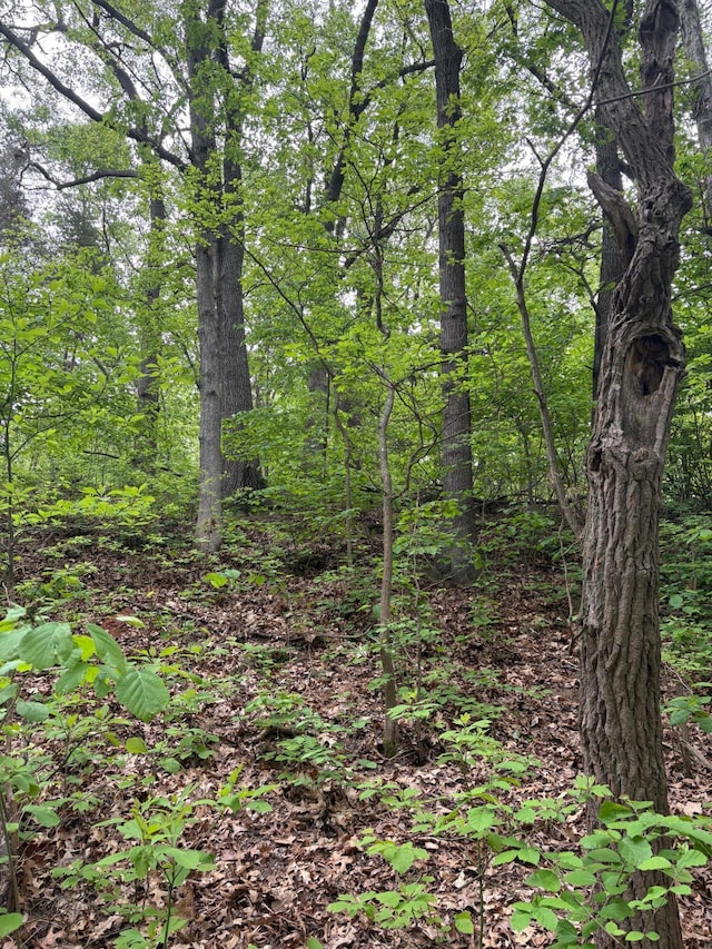3126 Red Oak Dr Lot 7, Saugatuck, MI 49453