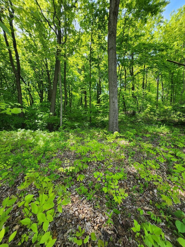 17647 Summerhill Ln Unit 40, New Buffalo, MI 49117
