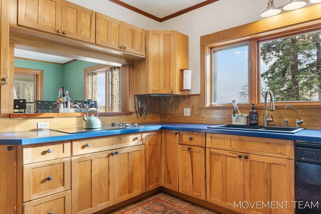 10043 Whitbeck Rd, Montague, MI 49437 - photo 8