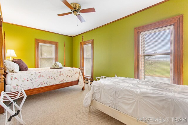 10043 Whitbeck Rd, Montague, MI 49437 - photo 35