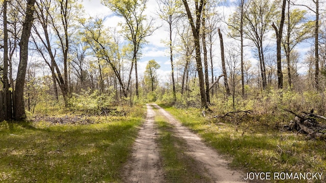 VL S Peacock Trail, Baldwin, MI 49304 - photo 6