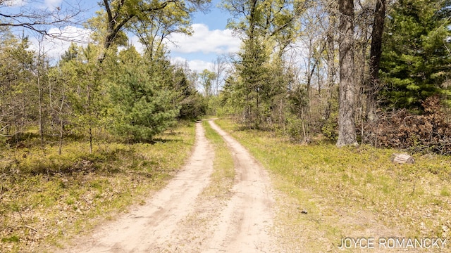 VL S Peacock Trail, Baldwin, MI 49304 - photo 5