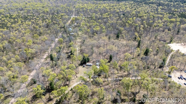 VL S Peacock Trail, Baldwin, MI 49304 - photo 10
