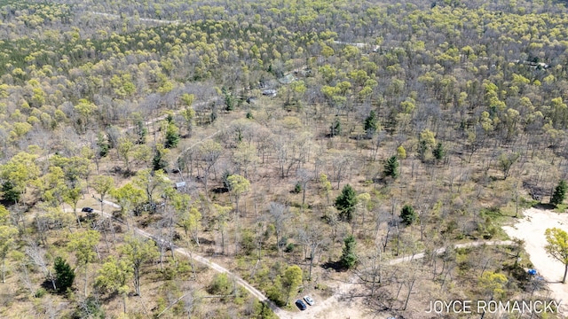VL S Peacock Trail, Baldwin, MI 49304 - photo 11