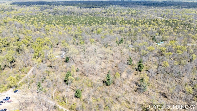 VL S Peacock Trail, Baldwin, MI 49304 - photo 13