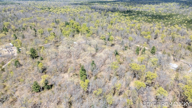 VL S Peacock Trail, Baldwin, MI 49304 - photo 15