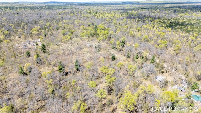 VL S Peacock Trail, Baldwin, MI 49304 - photo 16