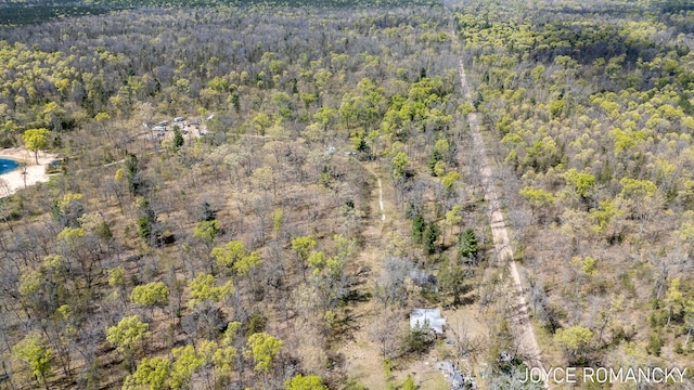 VL S Peacock Trail, Baldwin, MI 49304 - photo 4