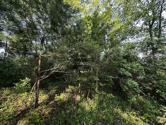 VL N Douglas Rd, Luther, MI 49656