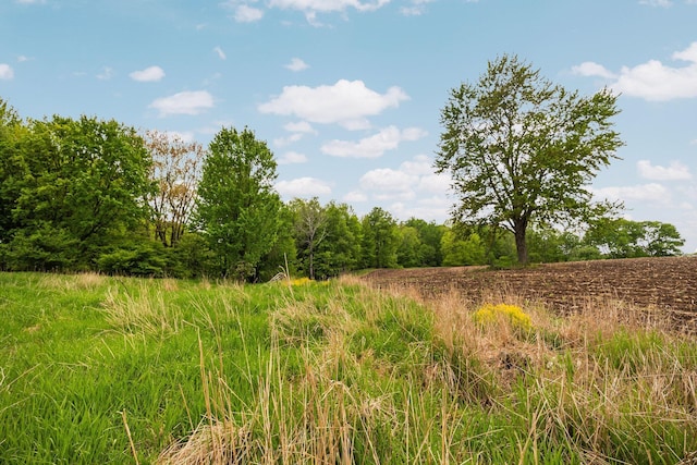 V/L 160th Ave, Leroy, MI 49655