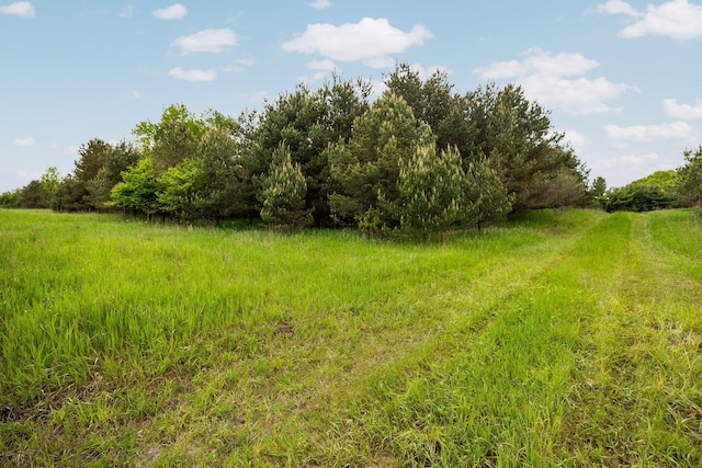 V/L 160th Ave, Leroy, MI 49655