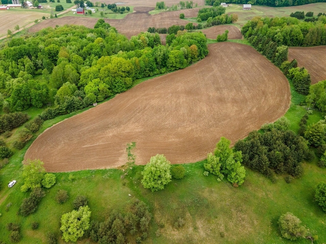 V/L 160th Ave, Leroy, MI 49655