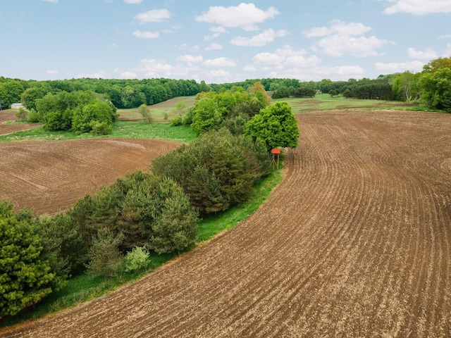 V/L 160th Ave, Leroy, MI 49655
